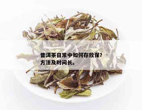 普洱茶日常中如何存放保？方法及时间长。