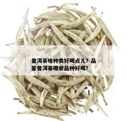 普洱茶啥种类好喝点儿？品鉴普洱茶哪些品种好喝？