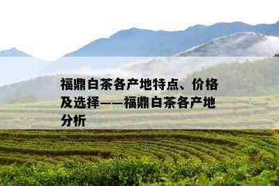 福鼎白茶各产地特点、价格及选择——福鼎白茶各产地分析