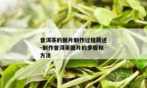 普洱茶的图片制作过程简述-制作普洱茶图片的步骤和方法