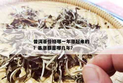 普洱茶价格哪一年涨起来的？暴涨都是哪几年？