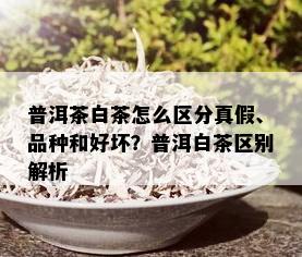 普洱茶白茶怎么区分真假、品种和好坏？普洱白茶区别解析