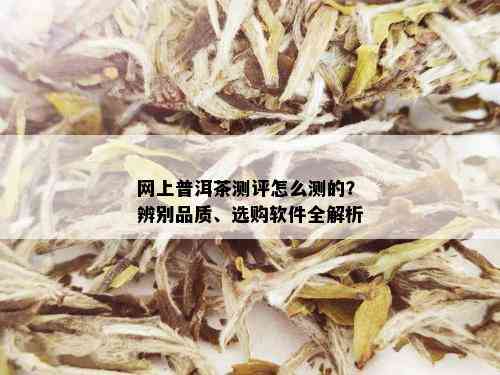 网上普洱茶测评怎么测的？辨别品质、选购软件全解析