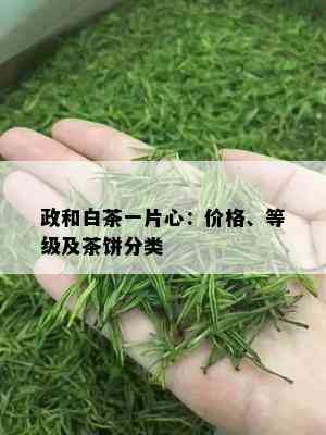 政和白茶一片心：价格、等级及茶饼分类