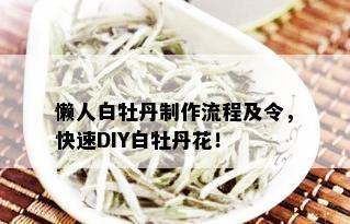 懒人白牡丹制作流程及令，快速DIY白牡丹花！