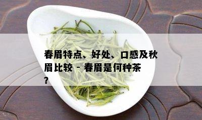 春眉特点、好处、口感及秋眉比较 - 春眉是何种茶？