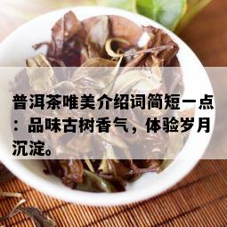 普洱茶唯美介绍词简短一点：品味古树香气，体验岁月沉淀。