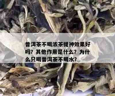 普洱茶不喝浓茶提神效果好吗？其他作用是什么？为什么只喝普洱茶不喝水？