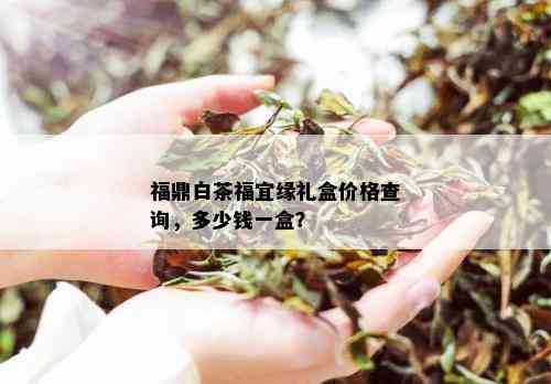 福鼎白茶福宜缘礼盒价格查询，多少钱一盒？