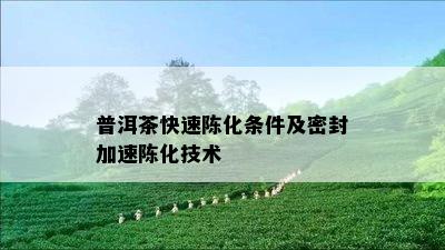 普洱茶快速陈化条件及密封加速陈化技术