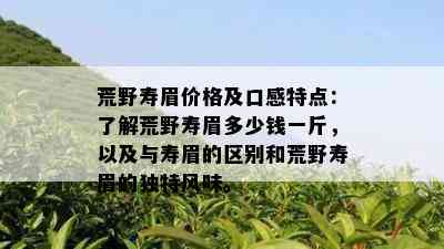 荒野寿眉价格及口感特点：了解荒野寿眉多少钱一斤，以及与寿眉的区别和荒野寿眉的独特风味。