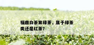 福鼎白茶算绿茶，属于绿茶类还是红茶？