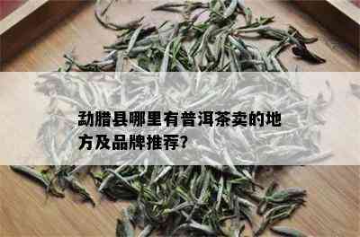 勐腊县哪里有普洱茶卖的地方及品牌推荐？