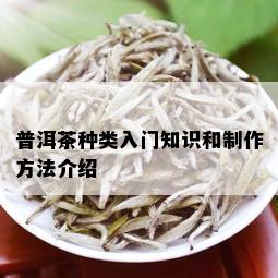 普洱茶种类入门知识和制作方法介绍