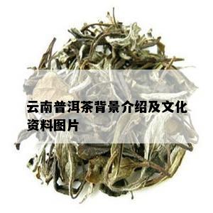 云南普洱茶背景介绍及文化资料图片