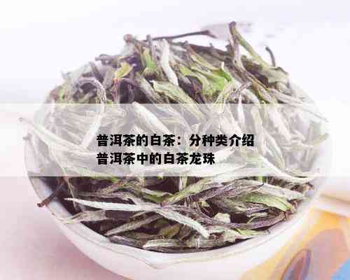 普洱茶的白茶：分种类介绍普洱茶中的白茶龙珠