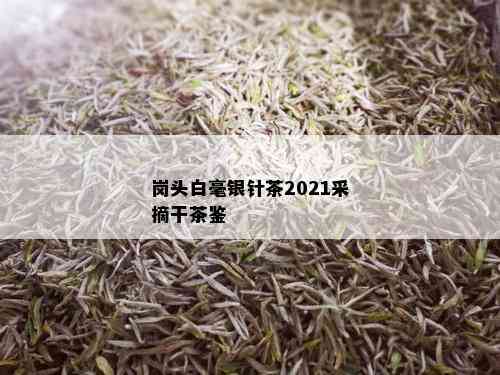 岗头白毫银针茶2021采摘干茶鉴