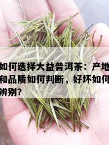 如何迭择大益普洱茶：产地和品质如何判断，好坏如何辨别？