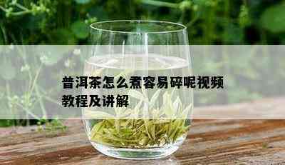 普洱茶怎么煮容易碎呢视频教程及讲解