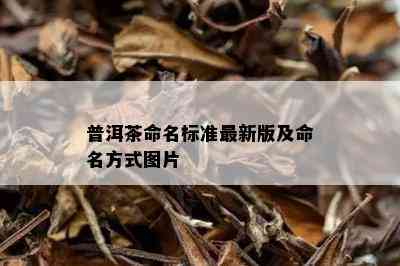 普洱茶命名标准最新版及命名方式图片