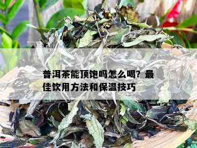 普洱茶能顶饱吗怎么喝？更佳饮用方法和保温技巧