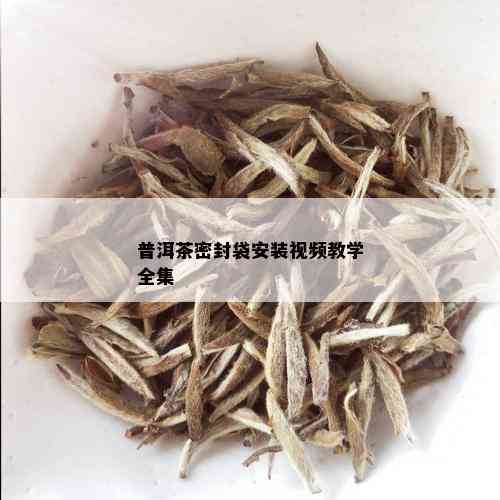 普洱茶密封袋安装视频教学全集