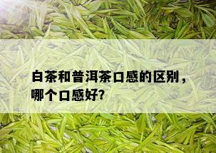 白茶和普洱茶口感的区别，哪个口感好？