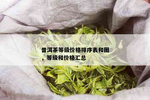 普洱茶等级价格排序表和图，等级和价格汇总