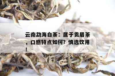 云南勐海白茶：属于贡眉茶，口感特点如何？慎选饮用！