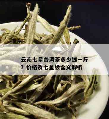 云南七星普洱茶多少钱一斤？价格及七星级含义解析