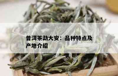 普洱茶勐大安：品种特点及产地介绍