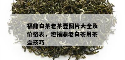 福鼎白茶老茶壶图片大全及价格表，泡福鼎老白茶用茶壶技巧