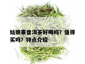 姑娘寨普洱茶好喝吗？值得买吗？特点介绍