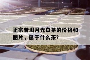 正宗普洱月光白茶的价格和图片，属于什么茶？