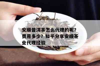 安顺普洱茶怎么代理的呢？费用多少？知乎分享安顺茶业代理经验