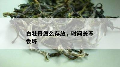 白牡丹怎么存放，时间长不会坏