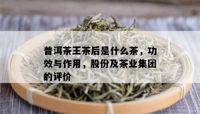 普洱茶王茶后是什么茶，功效与作用，股份及茶业集团的评价