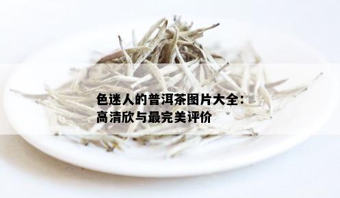 色迷人的普洱茶图片大全：高清欣与最完美评价