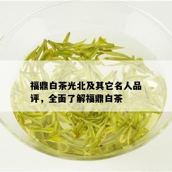 福鼎白茶光北及其它名人品评，全面了解福鼎白茶