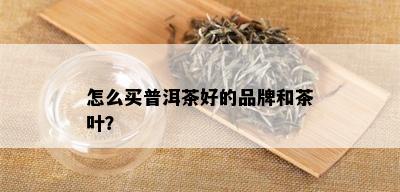 怎么买普洱茶好的品牌和茶叶？