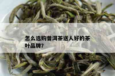 怎么选购普洱茶送人好的茶叶品牌？