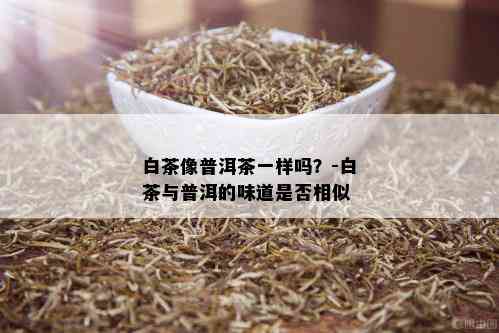 白茶像普洱茶一样吗？-白茶与普洱的味道是否相似