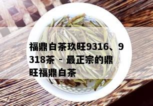 福鼎白茶玖旺9316、9318茶 - 最正宗的鼎旺福鼎白茶