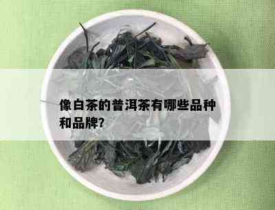 像白茶的普洱茶有哪些品种和品牌？