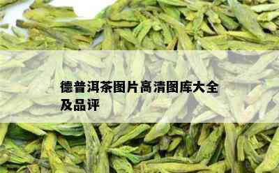 德普洱茶图片高清图库大全及品评