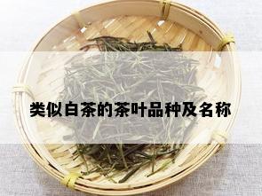 类似白茶的茶叶品种及名称