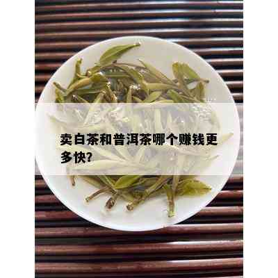 卖白茶和普洱茶哪个赚钱更多快？