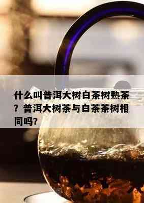 什么叫普洱大树白茶树熟茶？普洱大树茶与白茶茶树相同吗？