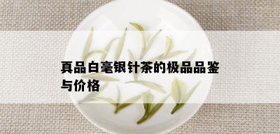 真品白毫银针茶的极品品鉴与价格