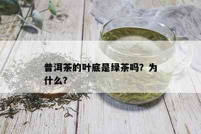 普洱茶的叶底是绿茶吗？为什么？